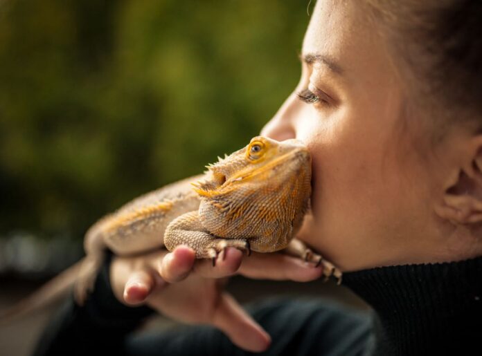 How Long Can Bearded Dragons Go Without Food?